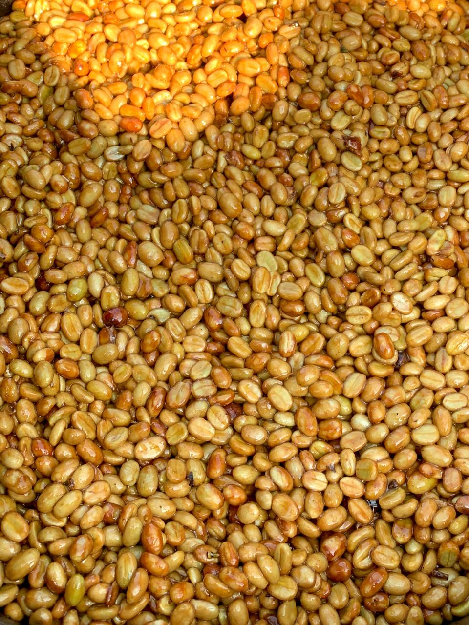 Honey-aufbereitete Kaffeebohnen – mit Mucilage getrocknet